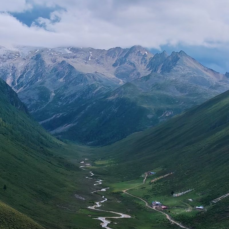 刘律师爱